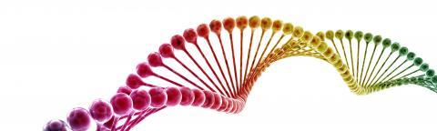 DNA